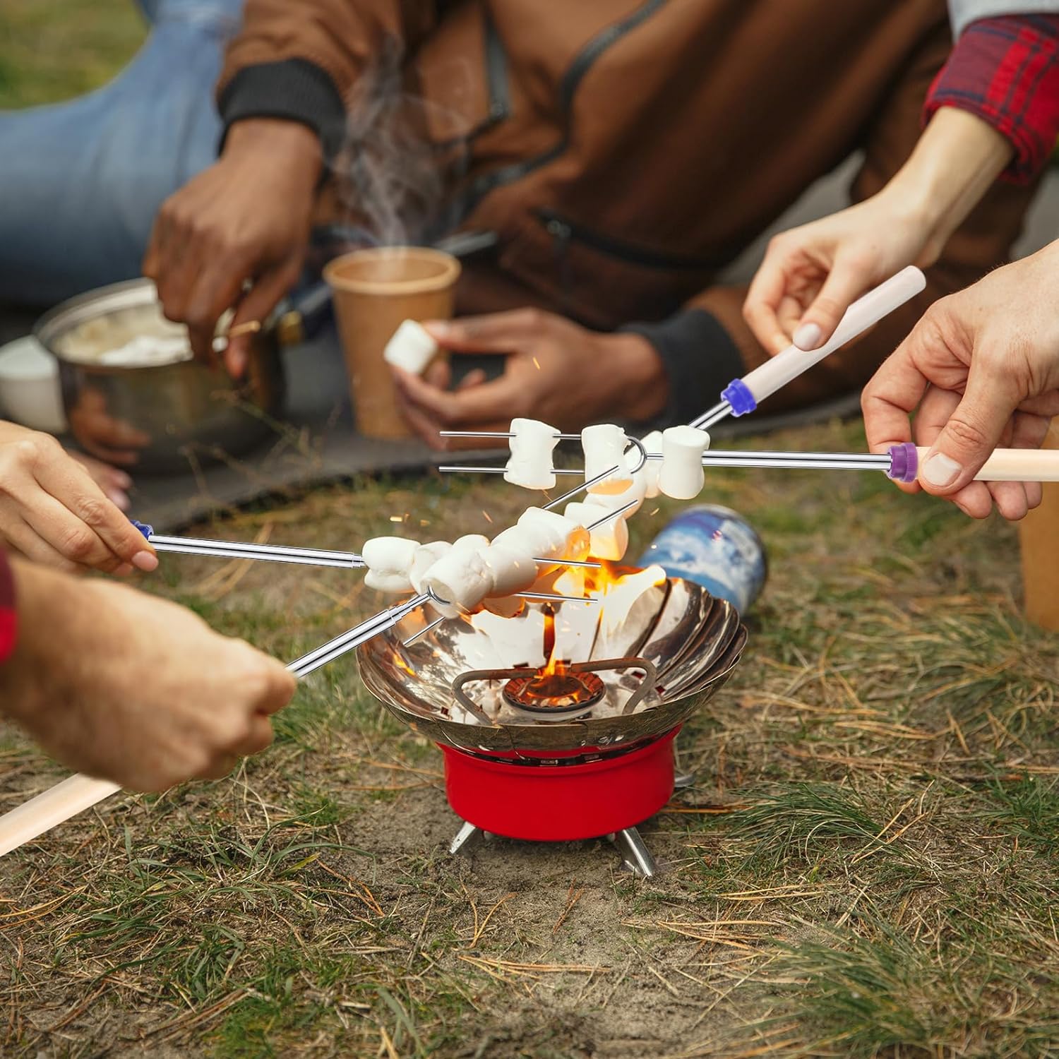 6Pcs Stainless Steel Telescopi - Corn Dog Stick 评论和价格